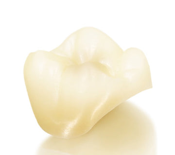 Total Unit of Pontic (Haus-ML)