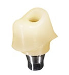 Zirconia Hybrid Custom Abutments