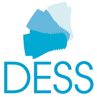DESS Implant Parts