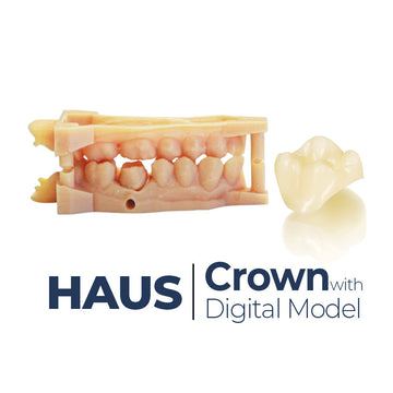 Digital Model Combo