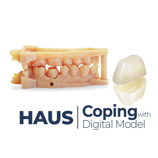 Haus Coping with Digital Working Model