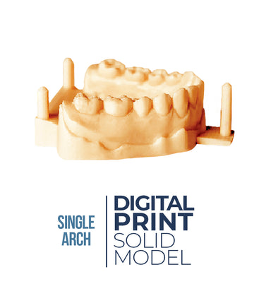 Digital Print Solid Model (Single Arch)