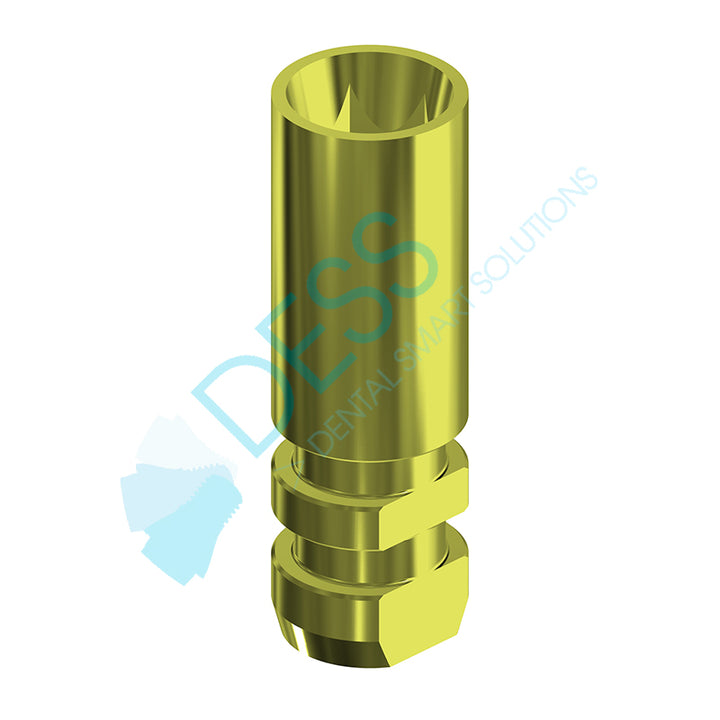 DESS® Implant Parts | Original Titanium Blanks, Screws & Analogs – Haus ...